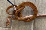 Orange tiger Amazon Tree Boa Female (ATB11)