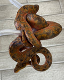 Tri color Amazon Tree Boa White Belly (ATB1)
