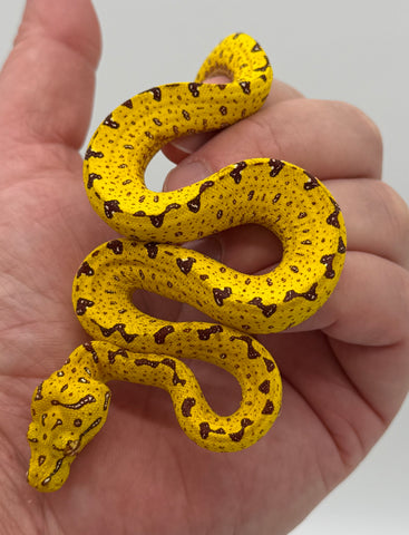 Biak Green Tree Python Yellow Baby (BGTPY14)