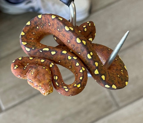 Red Biak Green Tree Boa (BGTPBR6)