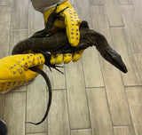 Black Roughneck Monitor 24" Pair 1.1