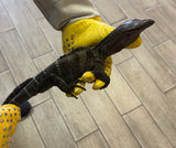 Black Roughneck Monitor 24" Pair 1.1