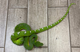 Emerald Tree Boa Female (ETBF2)