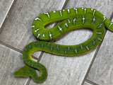 Emerald Tree Boa Female (ETBF3)