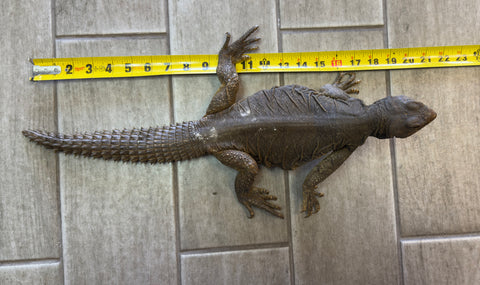 Egyptian Uromastyx Adult (EUA1)