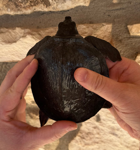 Fly River Turtle 4" (FR2)