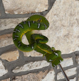 High Yellow High White Guyana Emerald Tree Boa Female (HYETBF1)