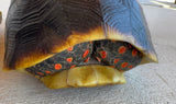 Guyana Red Foot Tortoise Female (RFFT6)