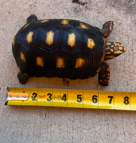 Guyana Red Foot Tortoise 6" Female (RFT9)