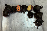 Eastern Painted Turtle