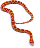 Creamsicle corn snake - Reptile Pets Direct